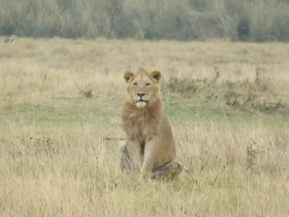 k-IMG_0003.JPG