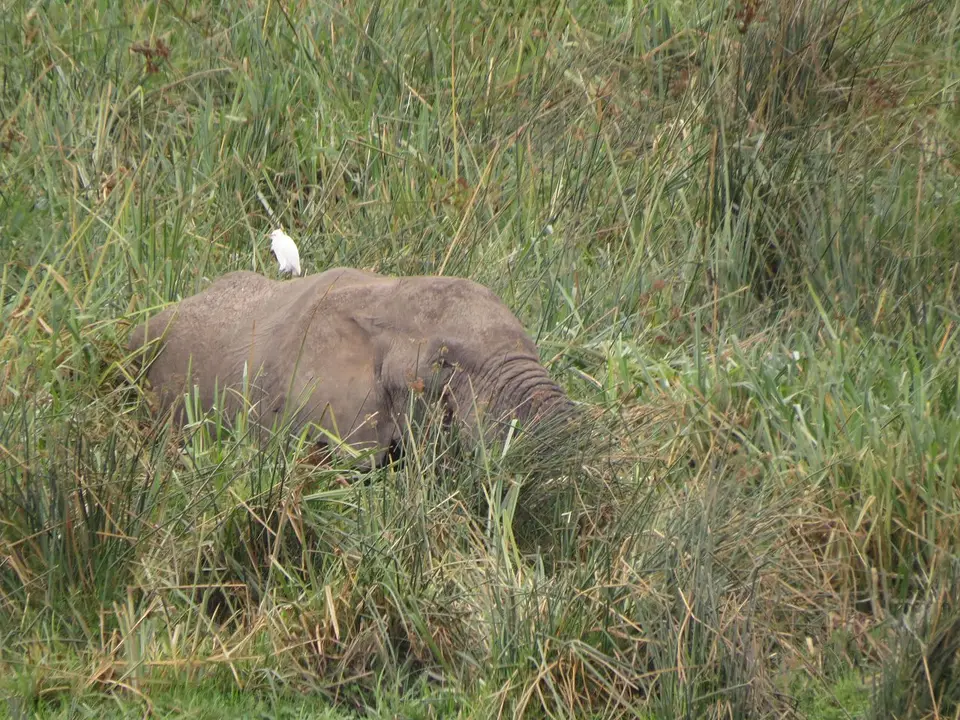 k-IMG_0034.JPG