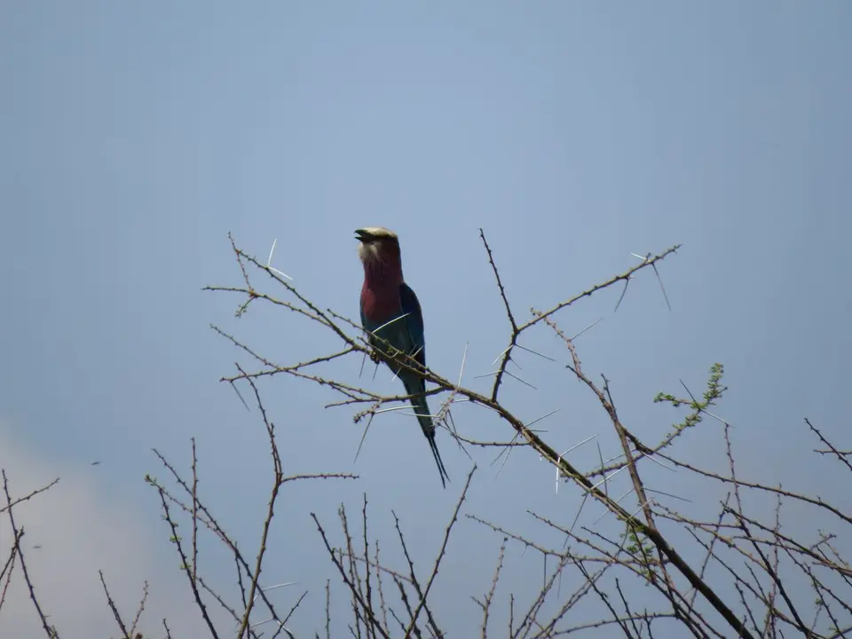 k-IMG_0142.JPG