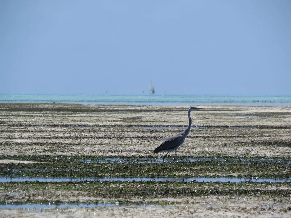 k-IMG_0211.JPG