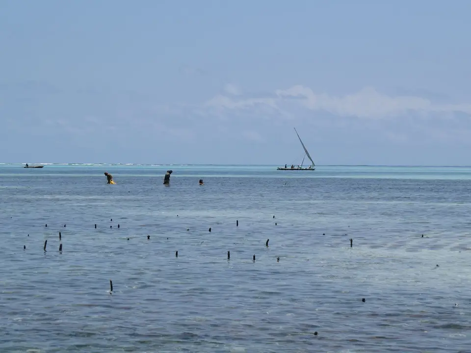 k-IMG_0238.JPG