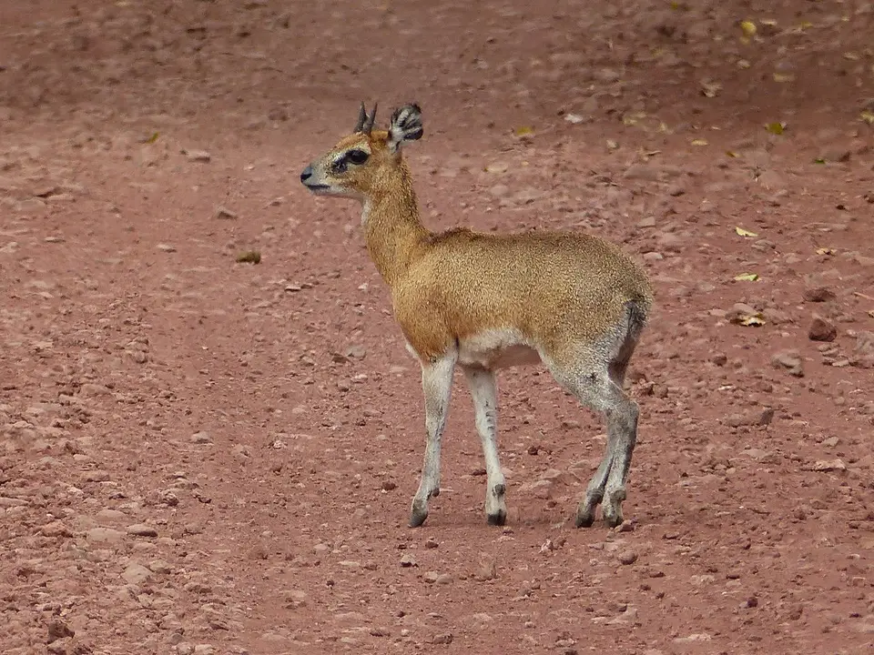 k-P1060625.JPG