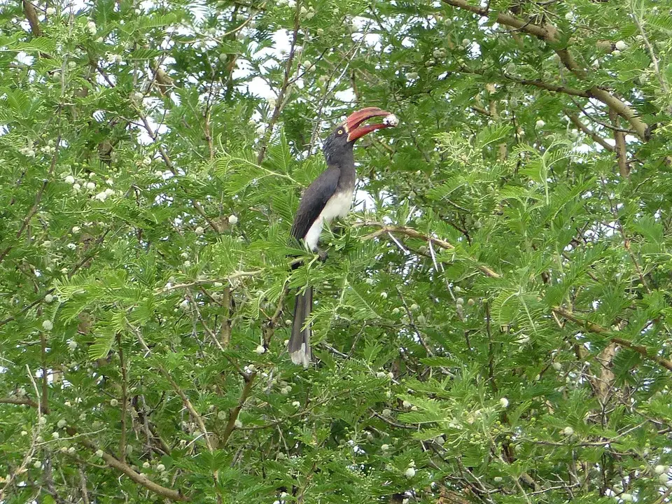 k-P1060740.JPG