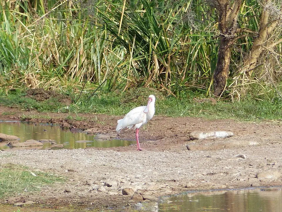k-P1060811.JPG