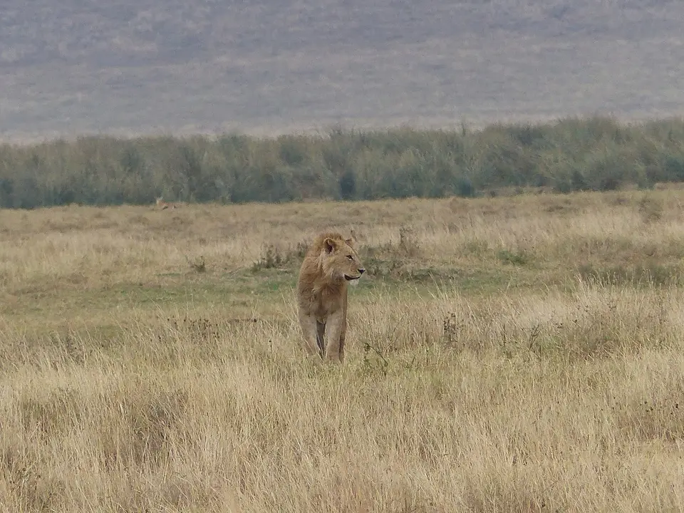 k-P1060882.JPG