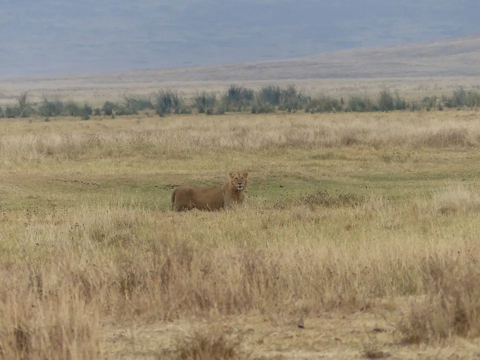 k-P1060886.JPG
