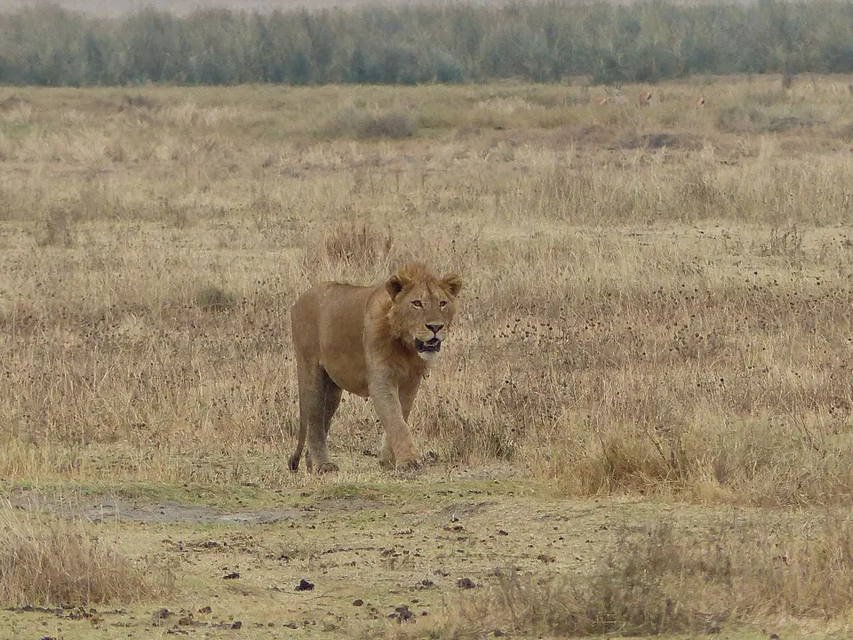 k-P1060892.JPG