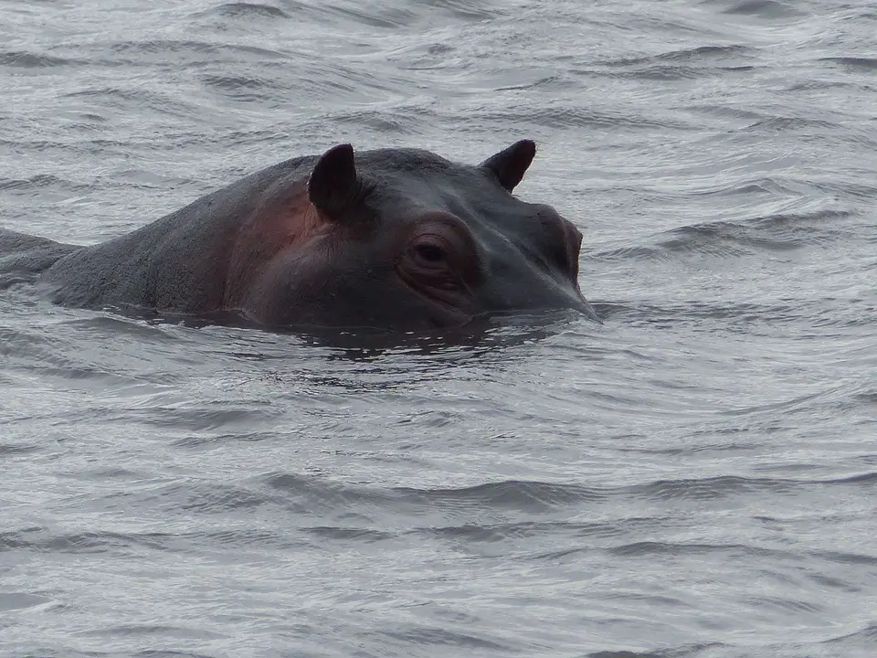 k-P1060962.JPG