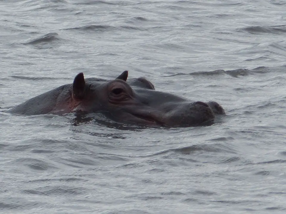 k-P1060963.JPG