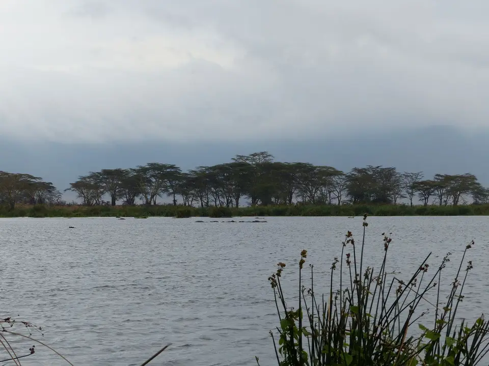k-P1060966.JPG