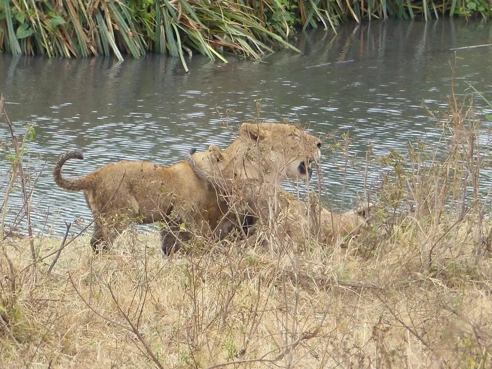 k-P1060997.JPG