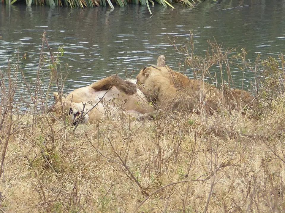 k-P1070004.JPG