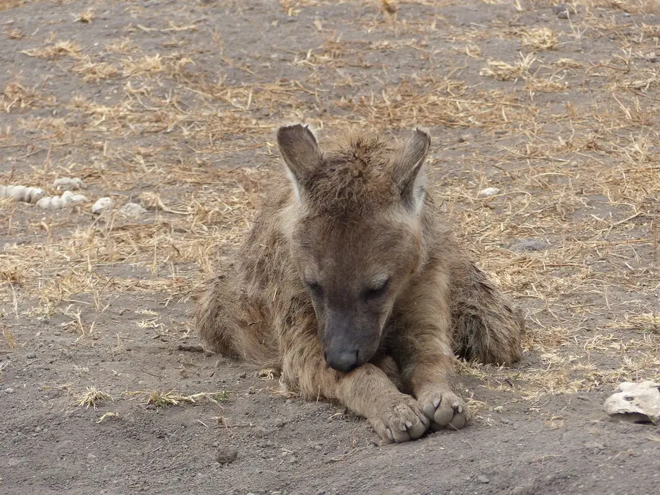 k-P1070044.JPG