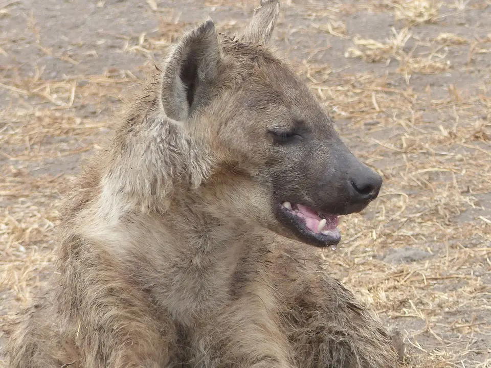k-P1070049.JPG