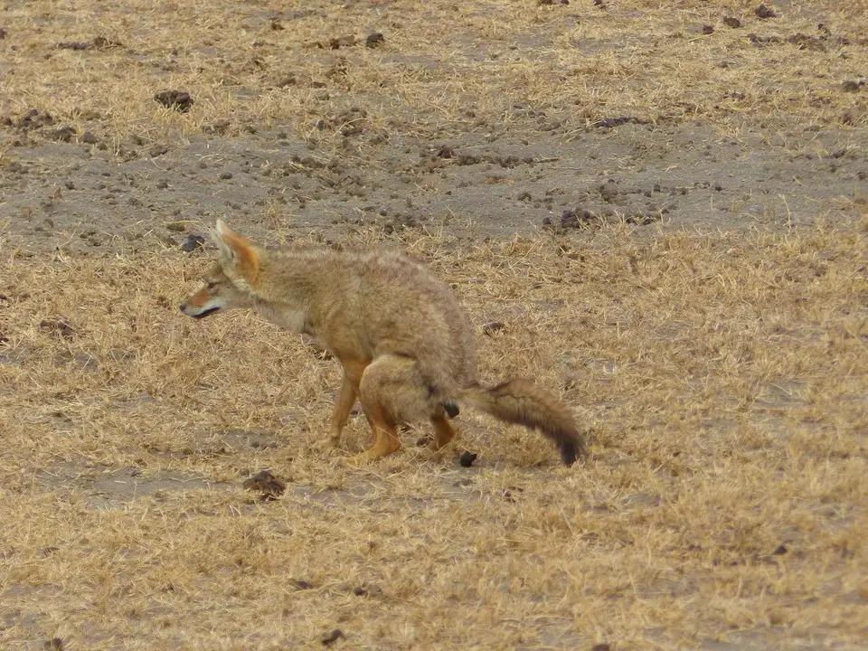 k-P1070058.JPG