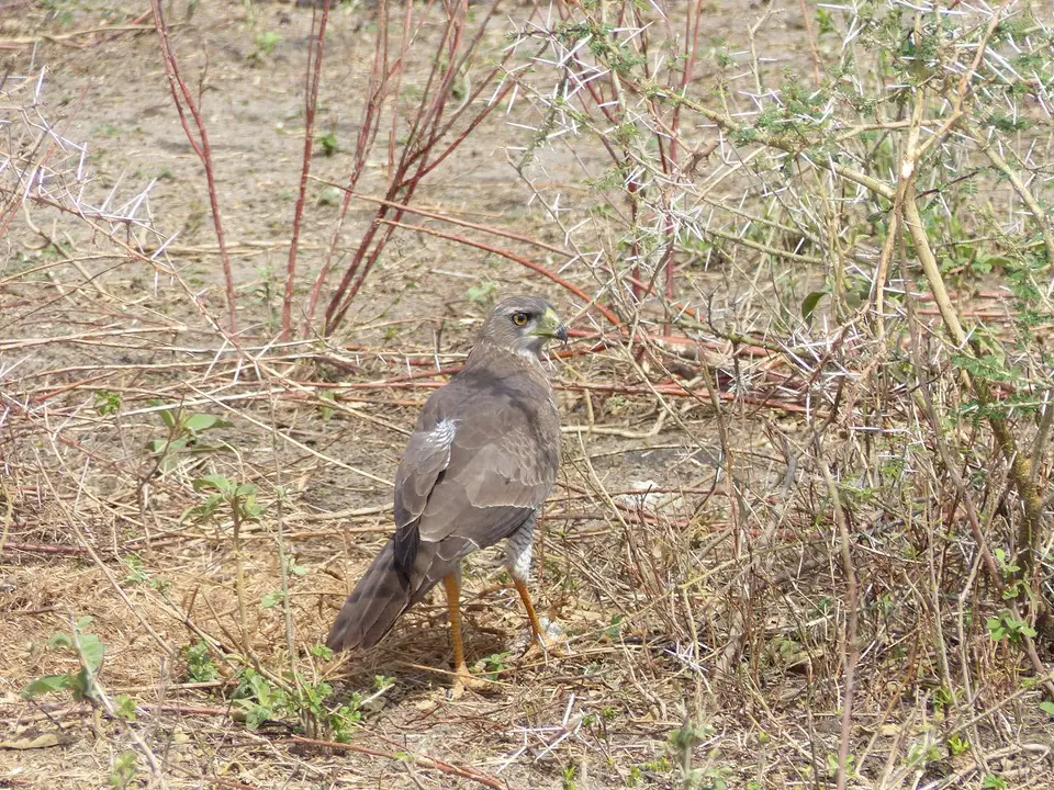 k-P1070201.JPG