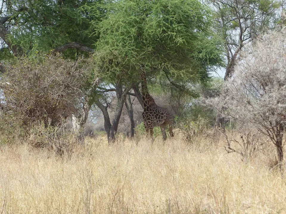 k-P1070202.JPG