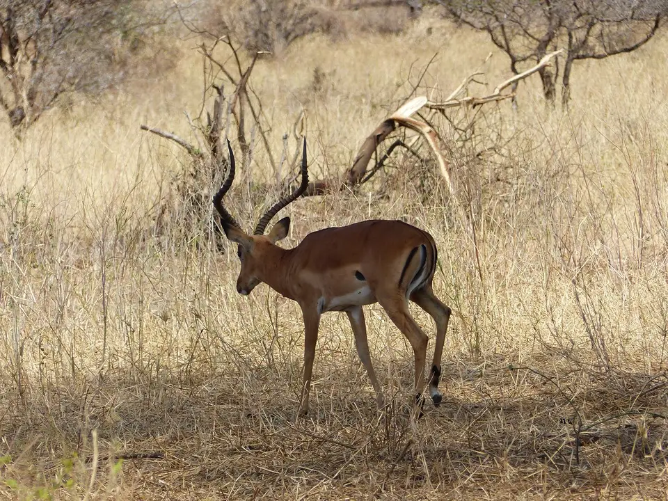 k-P1070213.JPG
