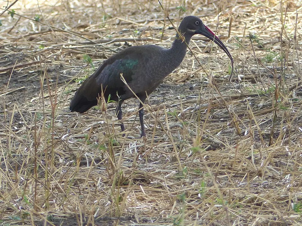 k-P1070216.JPG