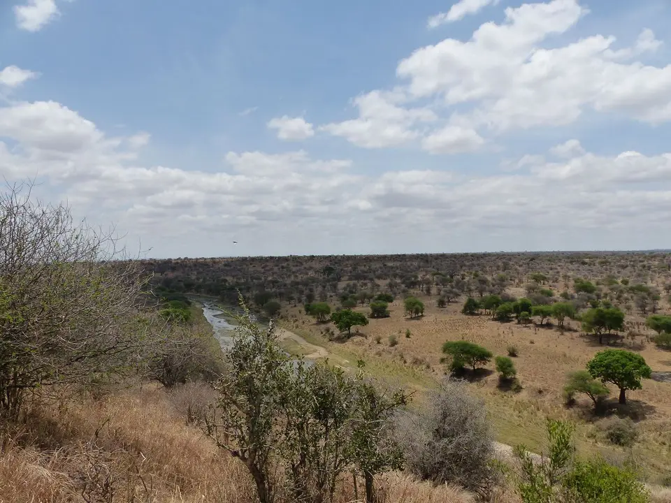 k-P1070283.JPG