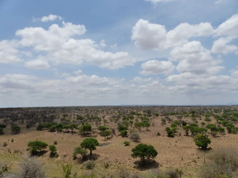 k-P1070284.JPG