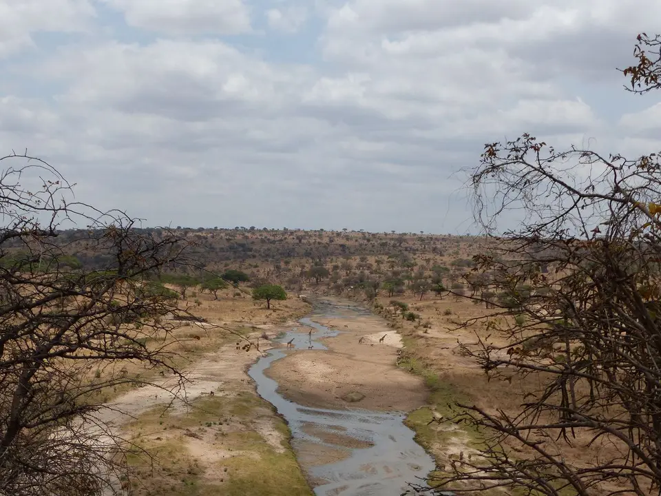 k-P1070297.JPG
