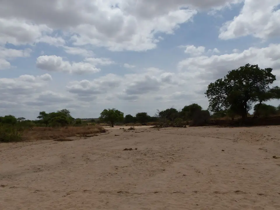 k-P1070319.JPG