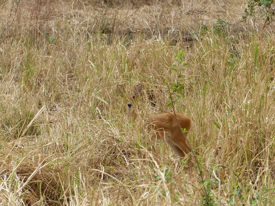 k-P1070320.JPG