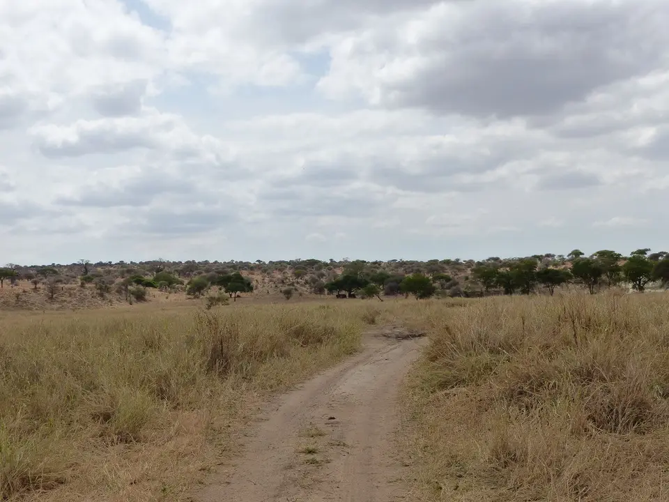 k-P1070327.JPG