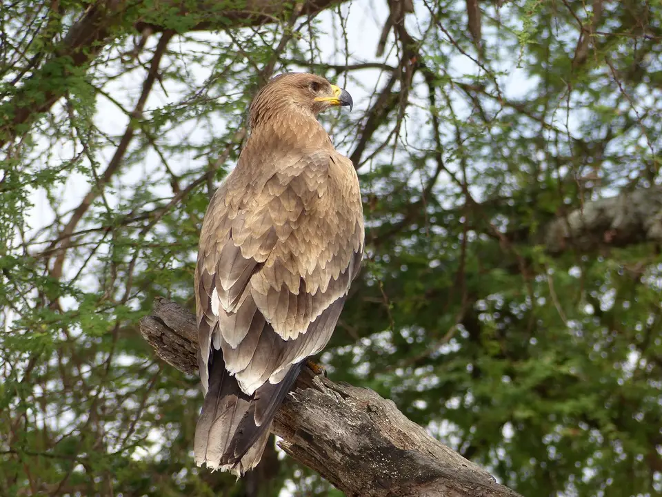 k-P1070365.JPG