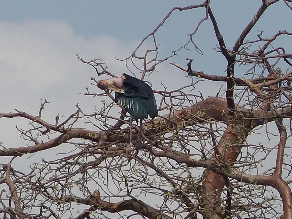 k-P1070370.JPG