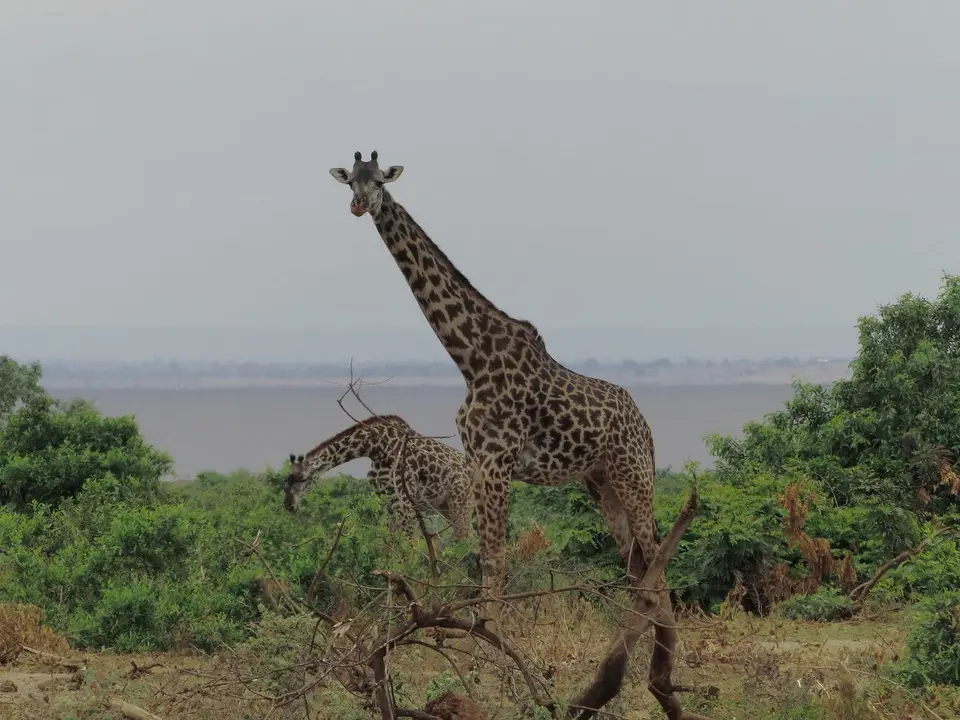 k-P1070457.JPG