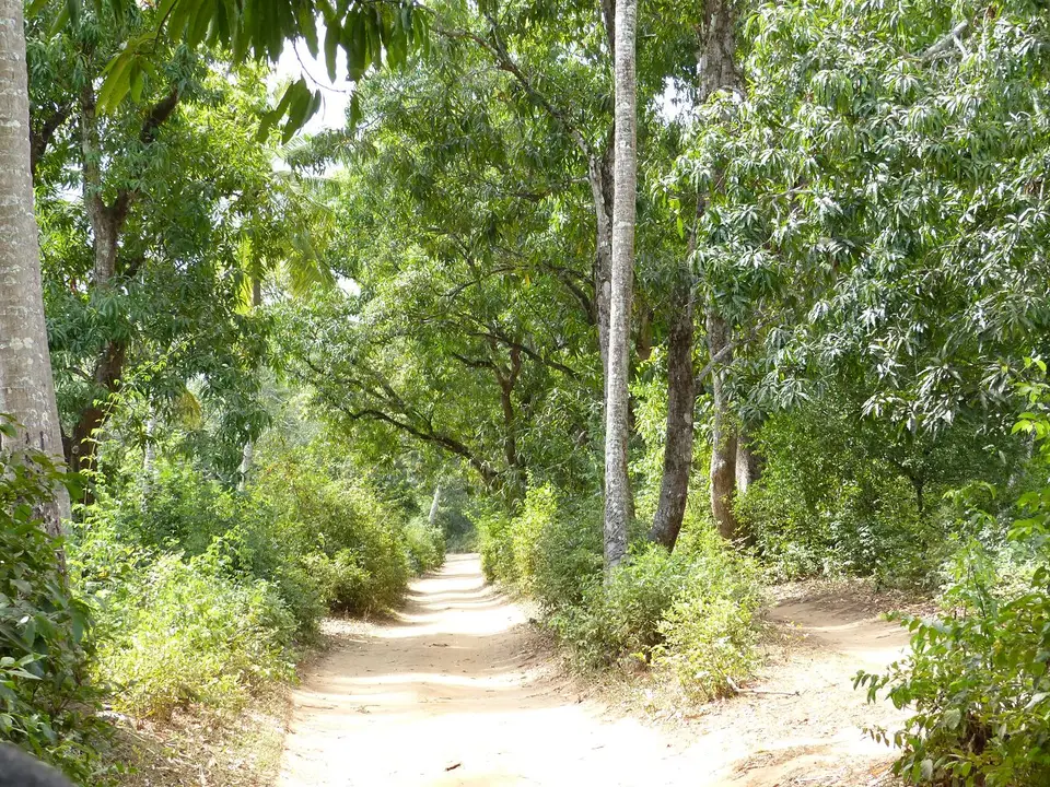 k-P1070542.JPG