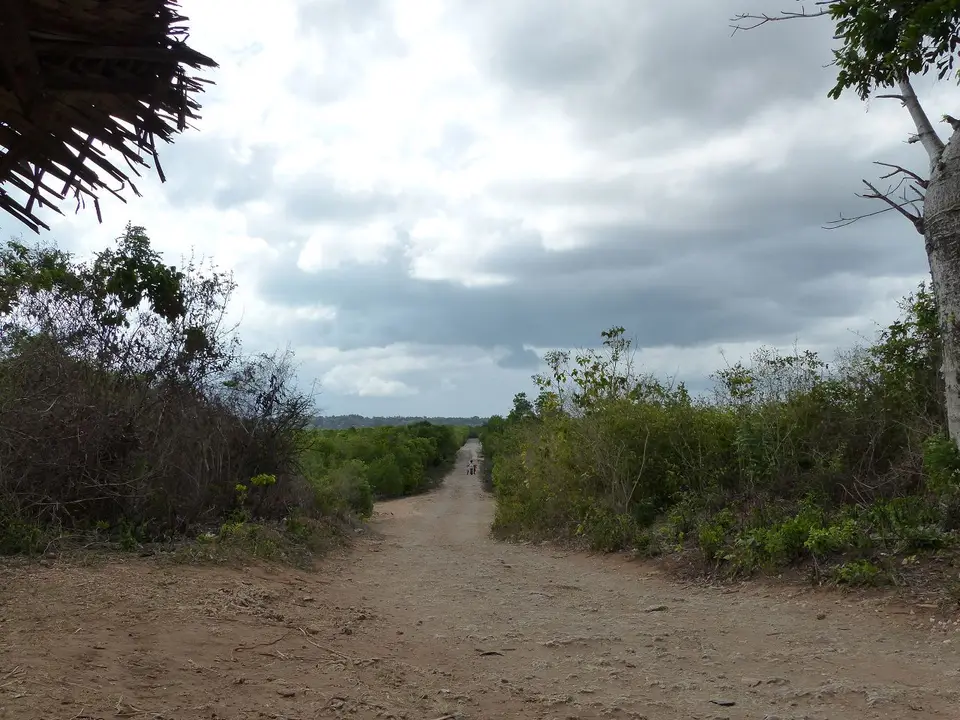 k-P1070545.JPG