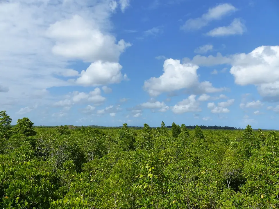k-P1070555.JPG