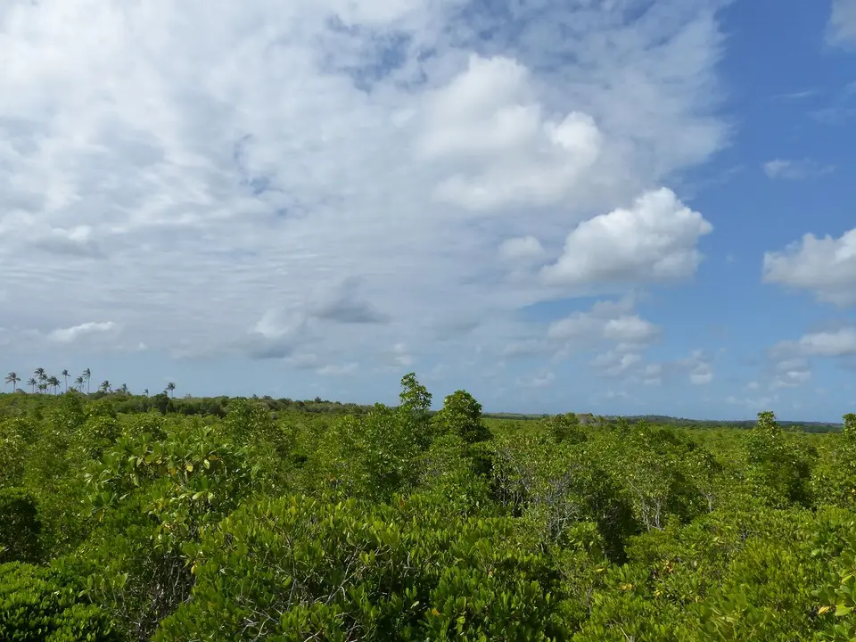 k-P1070559.JPG