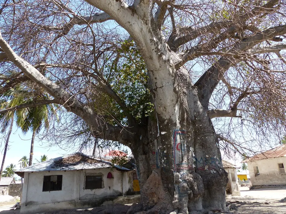 k-P1070567.JPG