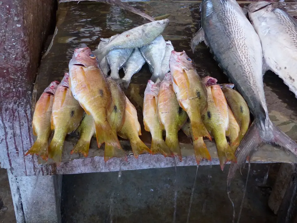 k-P1070689.JPG