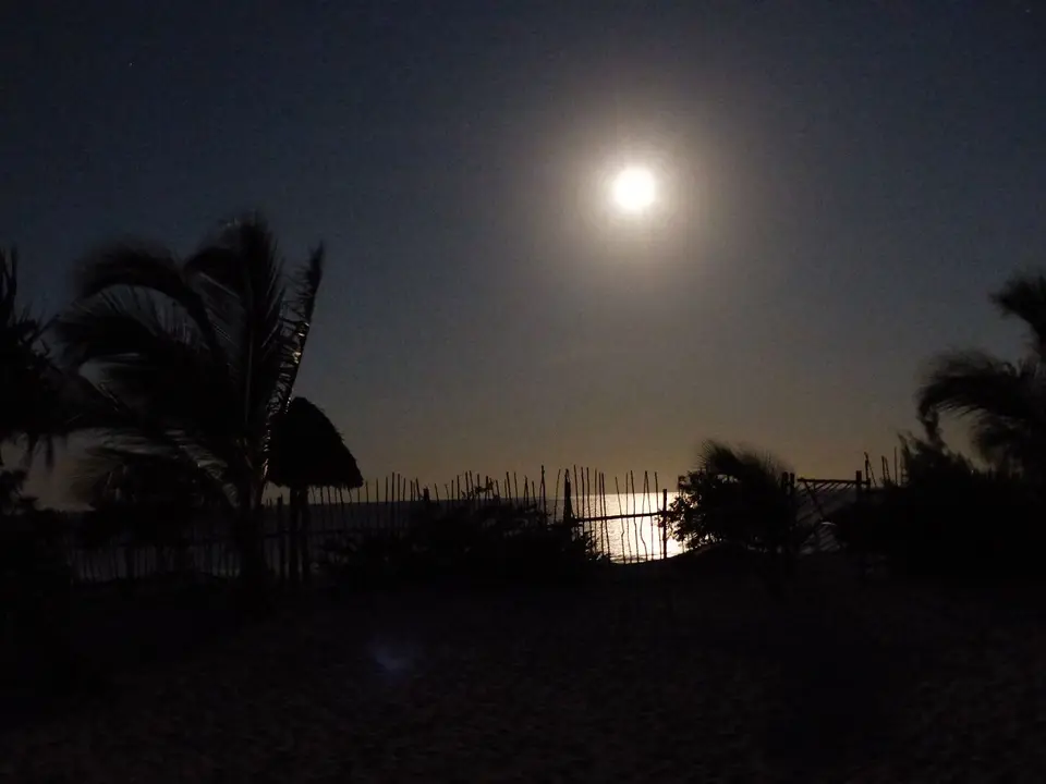 k-P1070817.JPG