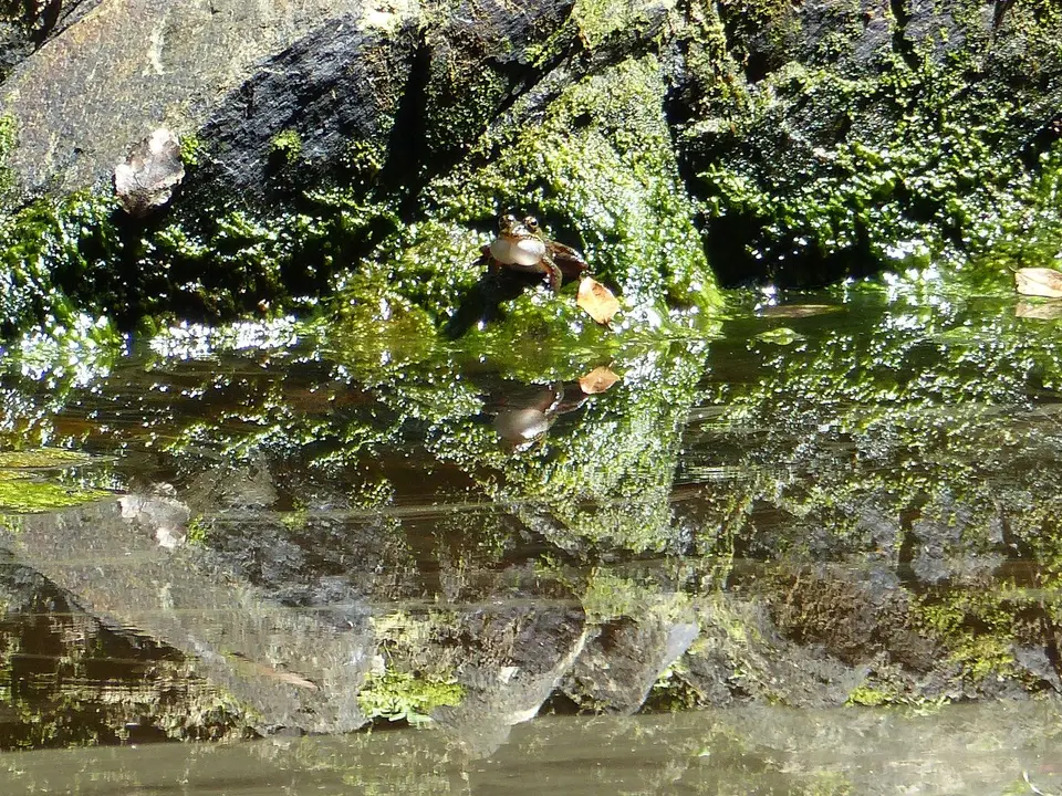 k-P1080012.JPG