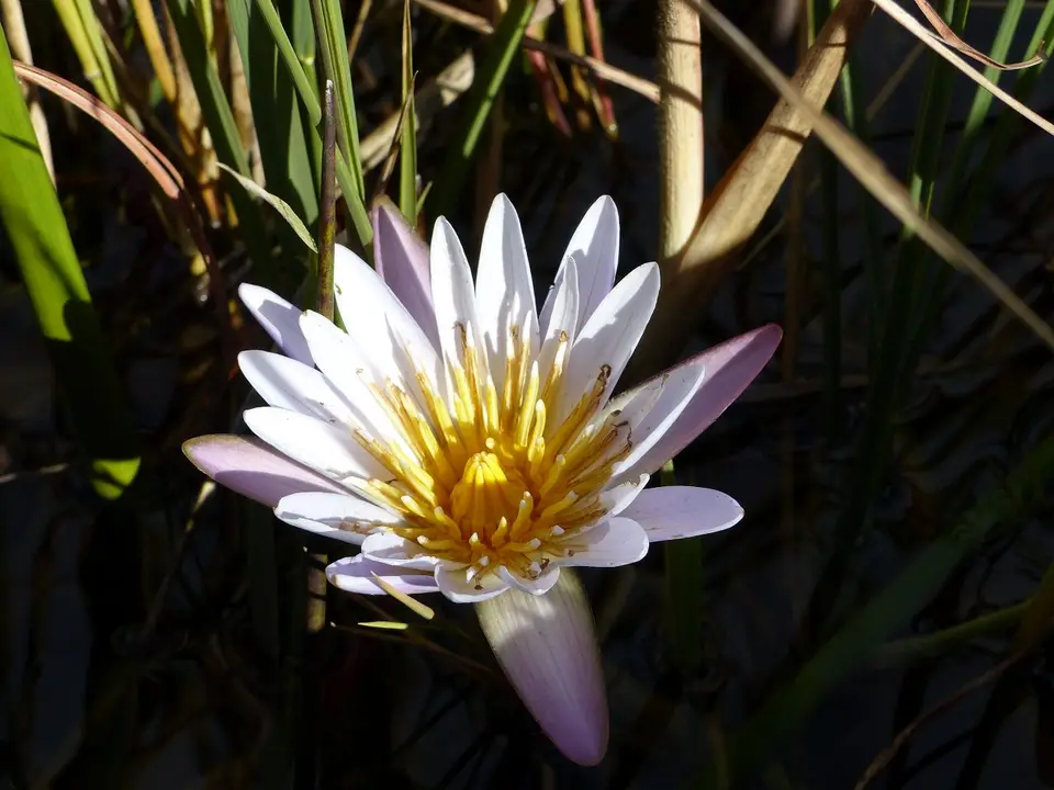 k-P1090201.JPG