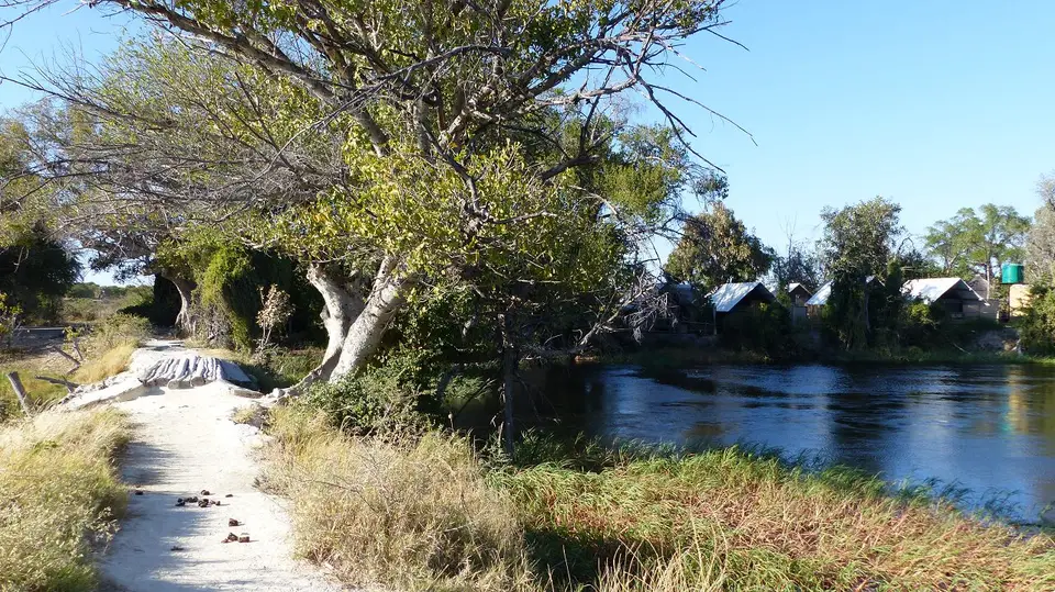 k-P1090225.JPG