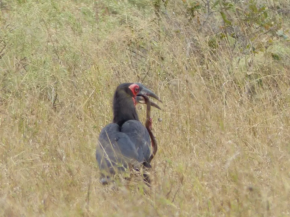 k-P1090318.JPG