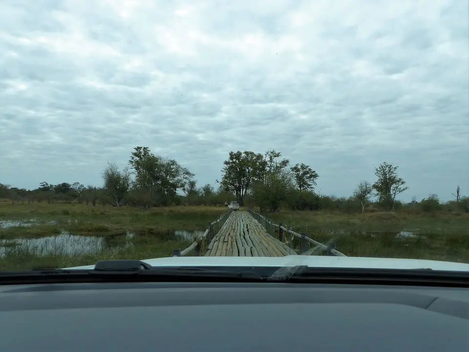 k-P1090324.JPG