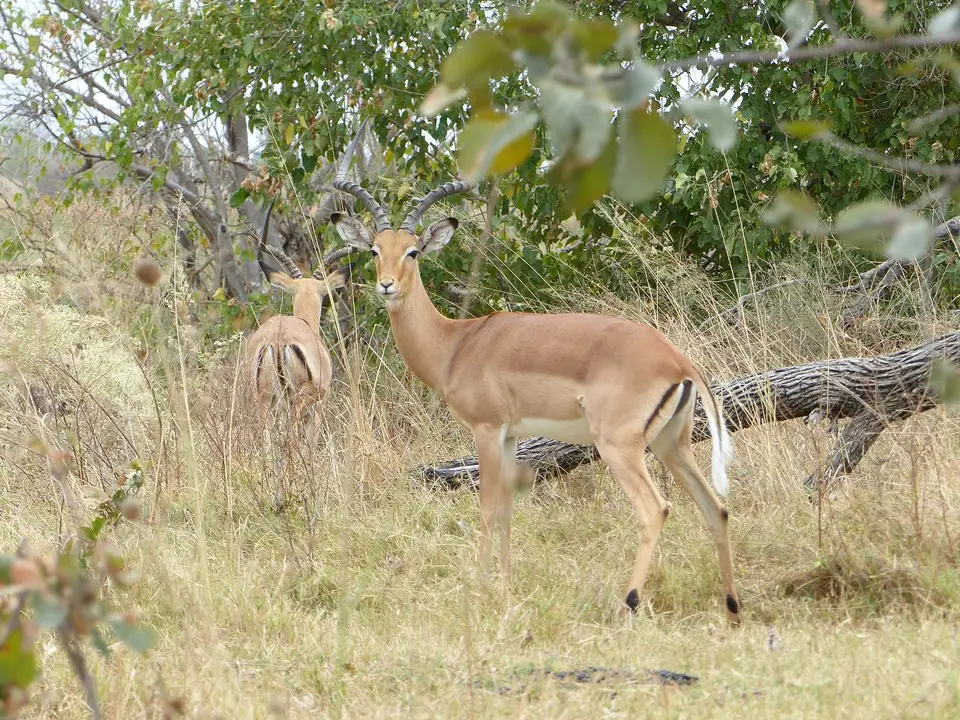 k-P1090327.JPG