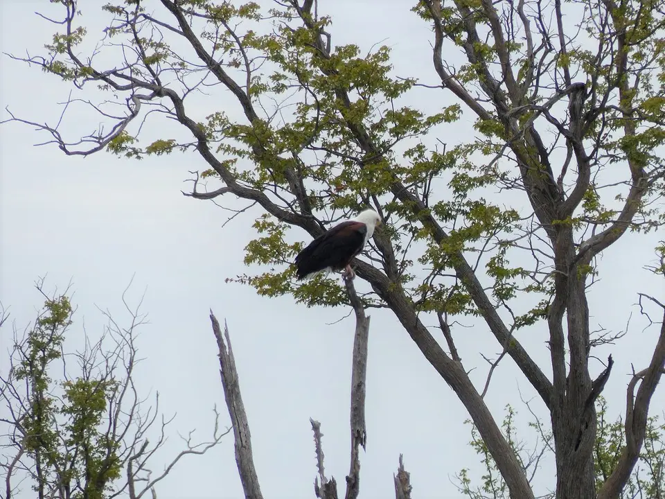 k-P1090345.JPG