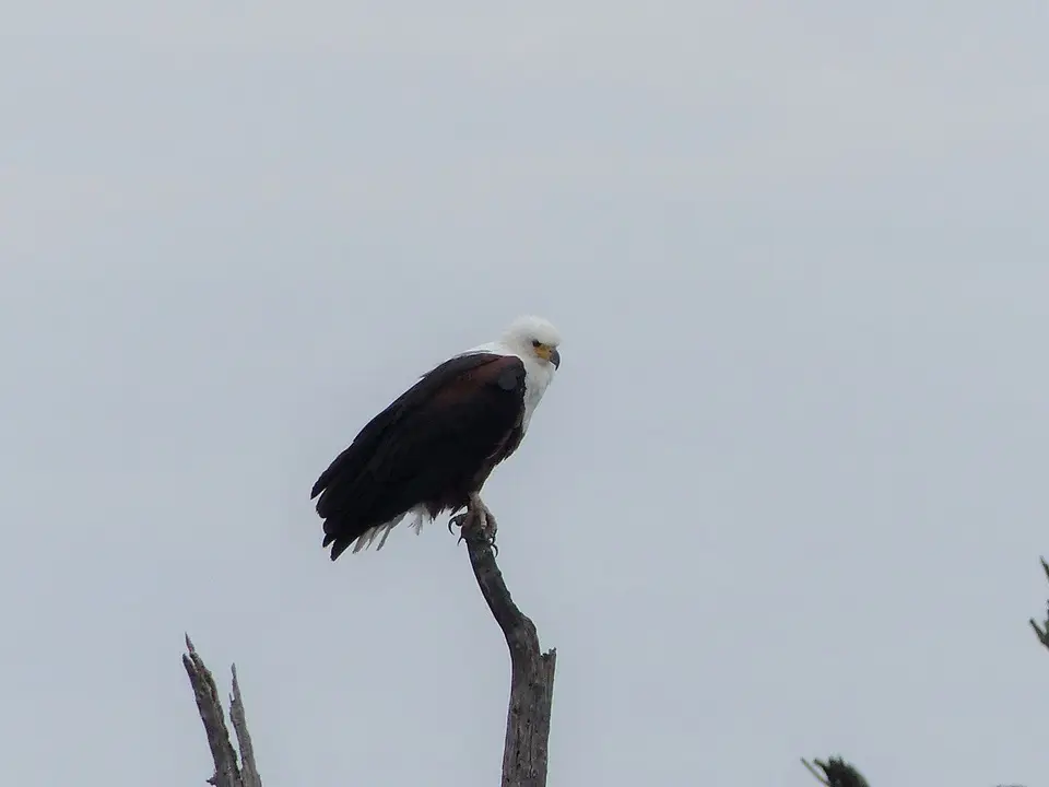 k-P1090349.JPG