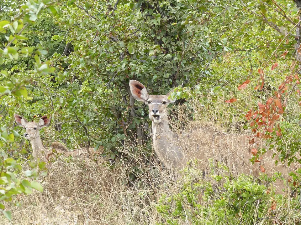 k-P1090352.JPG