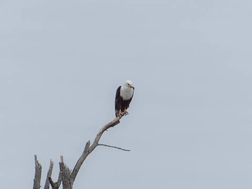 k-P1090358.JPG