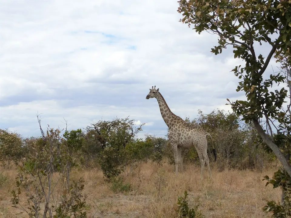 k-P1090716.JPG